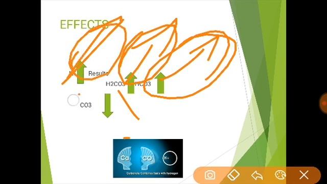 Ocean Acidification  Environment and Ecology in Tamil for UPSC