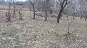 В садах нельзя жечь траву, листву и ветки. А советчикам - бить морды.