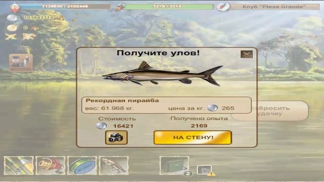 рекордная пирайба смотреть онлайн