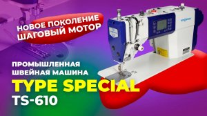 TS-610 Промышленная швейная машина TYPE SPECIAL (комплект: голова+стол)