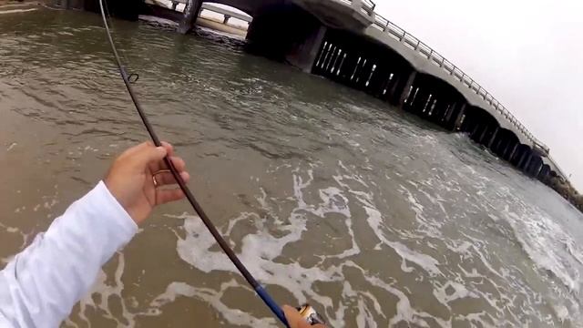 Corbina Tug of War смотреть онлайн