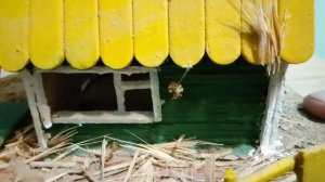 из мыслей в реальность