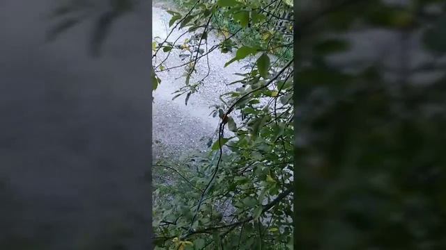 Мой день на даче смотреть онлайн