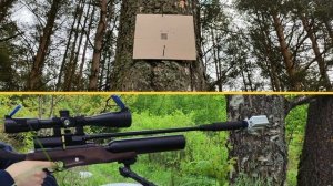Jager 5.5 стрельба на 50-100 м пули jsb knockout 5.5 часть 2