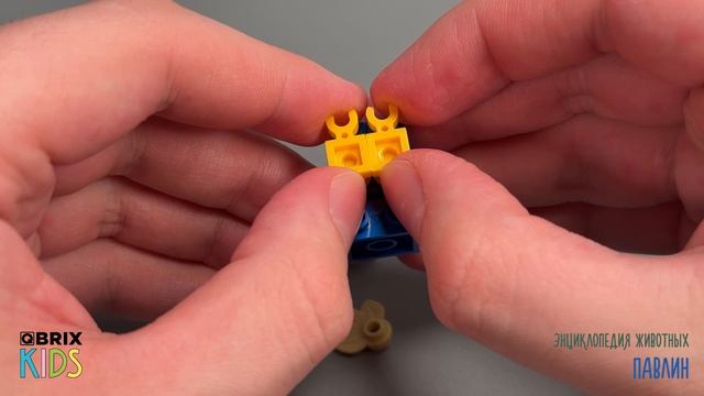 Собираем павлина из конструктора QBRIX KIDS - детские конструкторы с видеоинструкцией смотреть онлайн