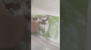 Первое купание