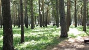 02.07.2016 - г.Прокопьевск - Зеньковский парк - Летом 2016 года