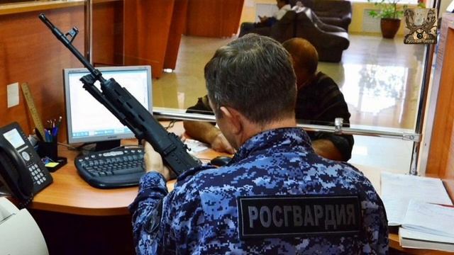 В РФ готовятся ввести цифровой учёт оружия и патронов смотреть онлайн