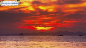 #Islam#Quran#AnNahl#ٌMinshawiy#Коран#АнНахьл#СамыеКрасивыеМеста#Relaxation#4кВиде#10часть#