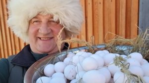 КУРЫ ЗАВАЛИЛИ ЯЙЦОМ!!! ВСЕГО ОДНА ДОБАВКА!!!
