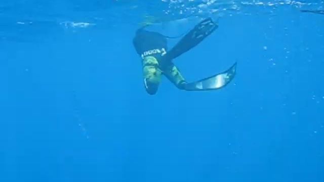 Yellow Fin Tuna смотреть онлайн