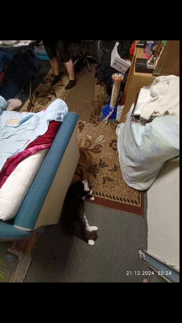 в честь него назван канал смотреть онлайн