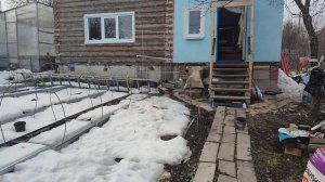 Сад,Весна 2025 года ,Март