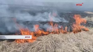 В Ковылкинском районе введён особый противопожарный режим