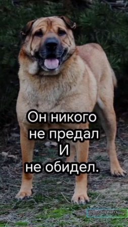 Готов ждать!