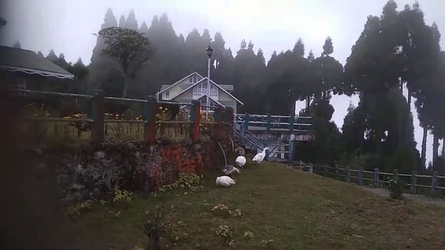 Salamander park , Darjeeling смотреть онлайн