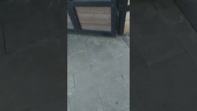 Львов,рассматриваем красоту вокруг Львовского замка смотреть онлайн