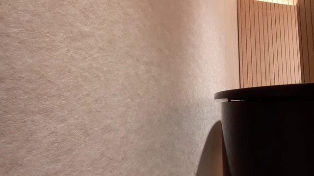 waltz (Areum Jeong's ballet class music vol.1 🖤) смотреть онлайн