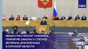 Мишустин просит ускорить принятие закона о статусе ветерана для военных в Курской области