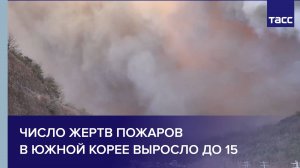 Число жертв пожаров в Южной Корее выросло до 15