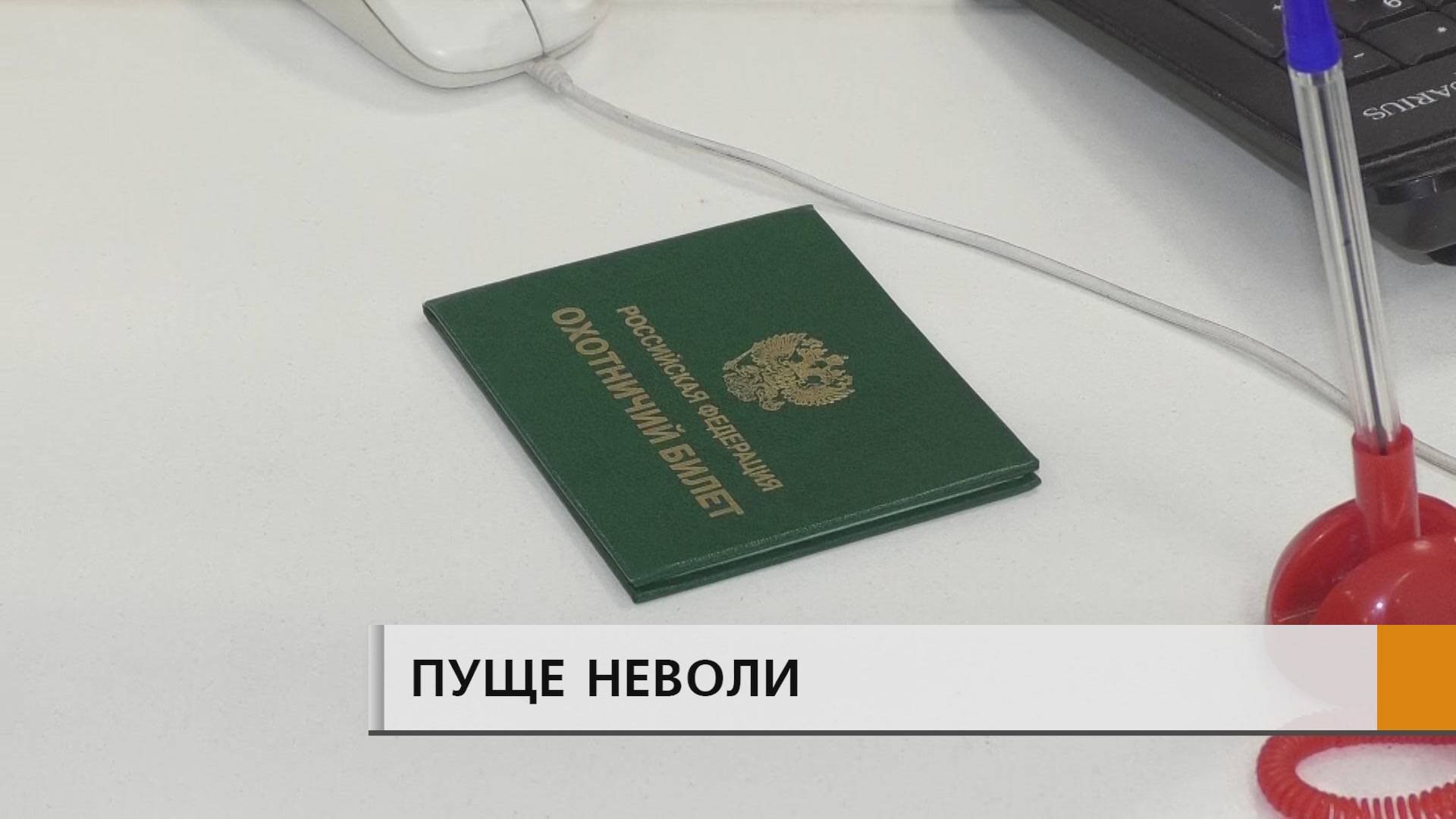 Ажиотаж в МФЦ: стартовал прием заявлений на добычу самой популярной дичи - пернатой