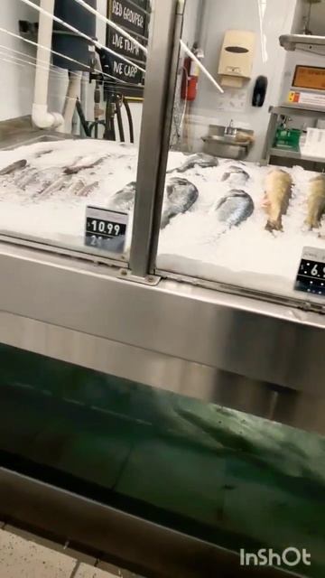 Живая рыба в продаже в супермаркете No Frills Торонто #жизньвканаде #жизньвторонто #nashidnivtoront