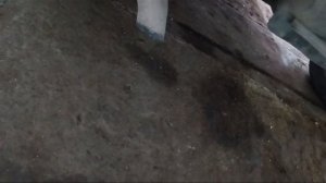 работа двигателя k4m812 авторазбор