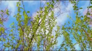 Ольга Пяткова - "Дышать любовью!" Стихи: Юнна Мориц, музыка: Ольга Пяткова. Видео: Сабина Лоренц