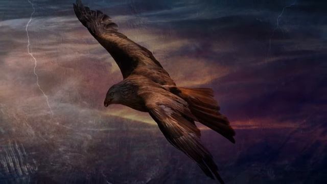 Best Cinematic Visual Video Maker- Clear Minimalist Parallax Style смотреть онлайн