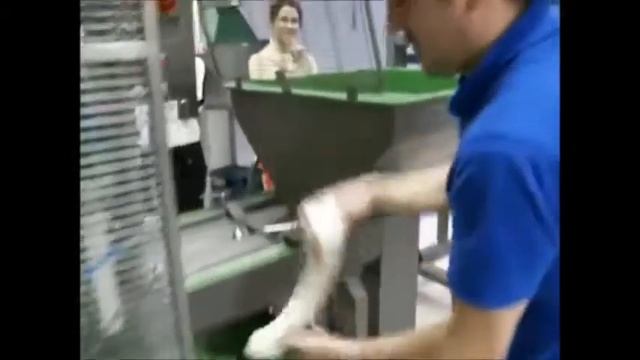 сыр моцарелла производство
