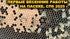 Первые весенние работы на пасеке. Санкт - Петербург, весна 2025 г.