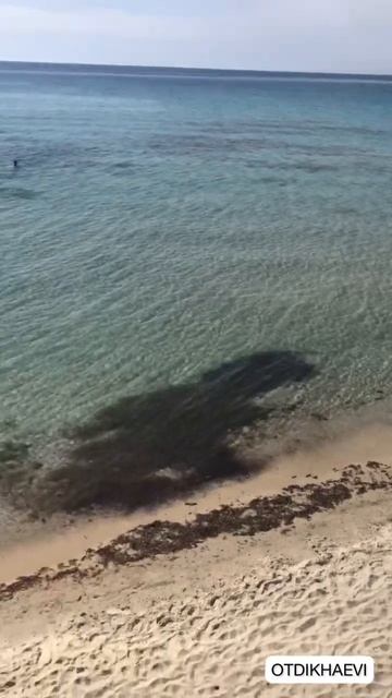 Sani Club 5* (Greece) with forest bungalow and excellent service смотреть онлайн