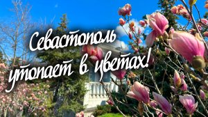 Севастополь утопает в цветах