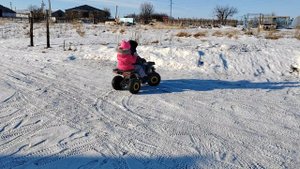 Motax grizzlik 50 4т продажа вид1