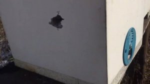 Зимовка пчёл в мини плюсах на одном корпусе