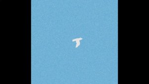 SABABA 5 - The Bird Song