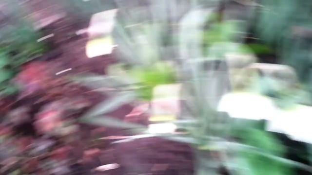 Мой двор спустя 8 дней смотреть онлайн