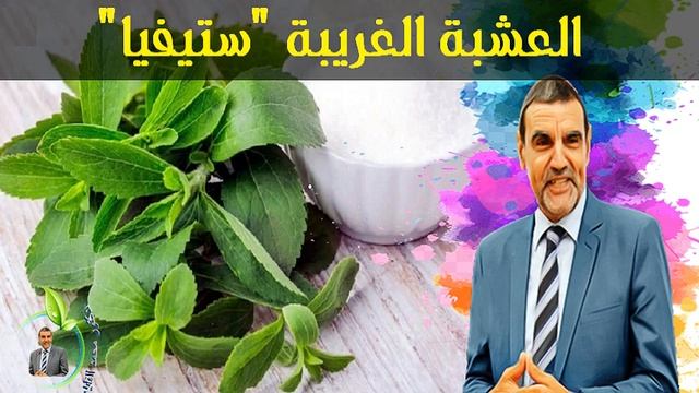 عشبة الستيفيا البديل الطبيعي للسكر .. ولكن !  مع الدكتور محمد الفايد