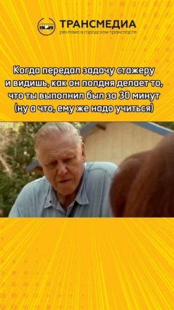 Ему же тоже надо учиться(
