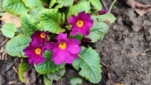 Рай на земле,он есть!