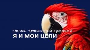 Цикл «Я в +» тренинг «Я и мои цели»