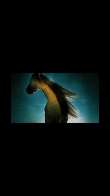 Armin van Buuren смотреть онлайн