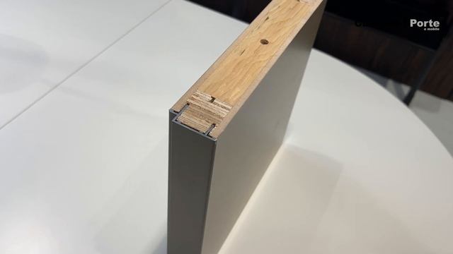 Межкомнатная дверь Nuovo со стеновыми панелями