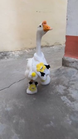 Гусь, который знает толк в моде