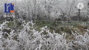 Зимняя дорога в село Слобода-Рашково Каменского района