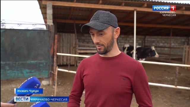 Ветеран СВО Али Цеков заключил соцконтракт чтобы заняться разведением крупного рогатого скота