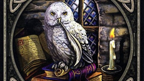 Конец зависимым отношениям #психология #отношения #жизнь #душа #духовныйрост