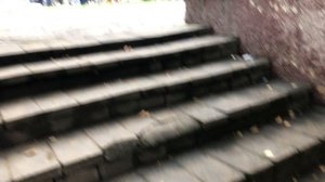 2019-08-31 Вероне понравился Ленин