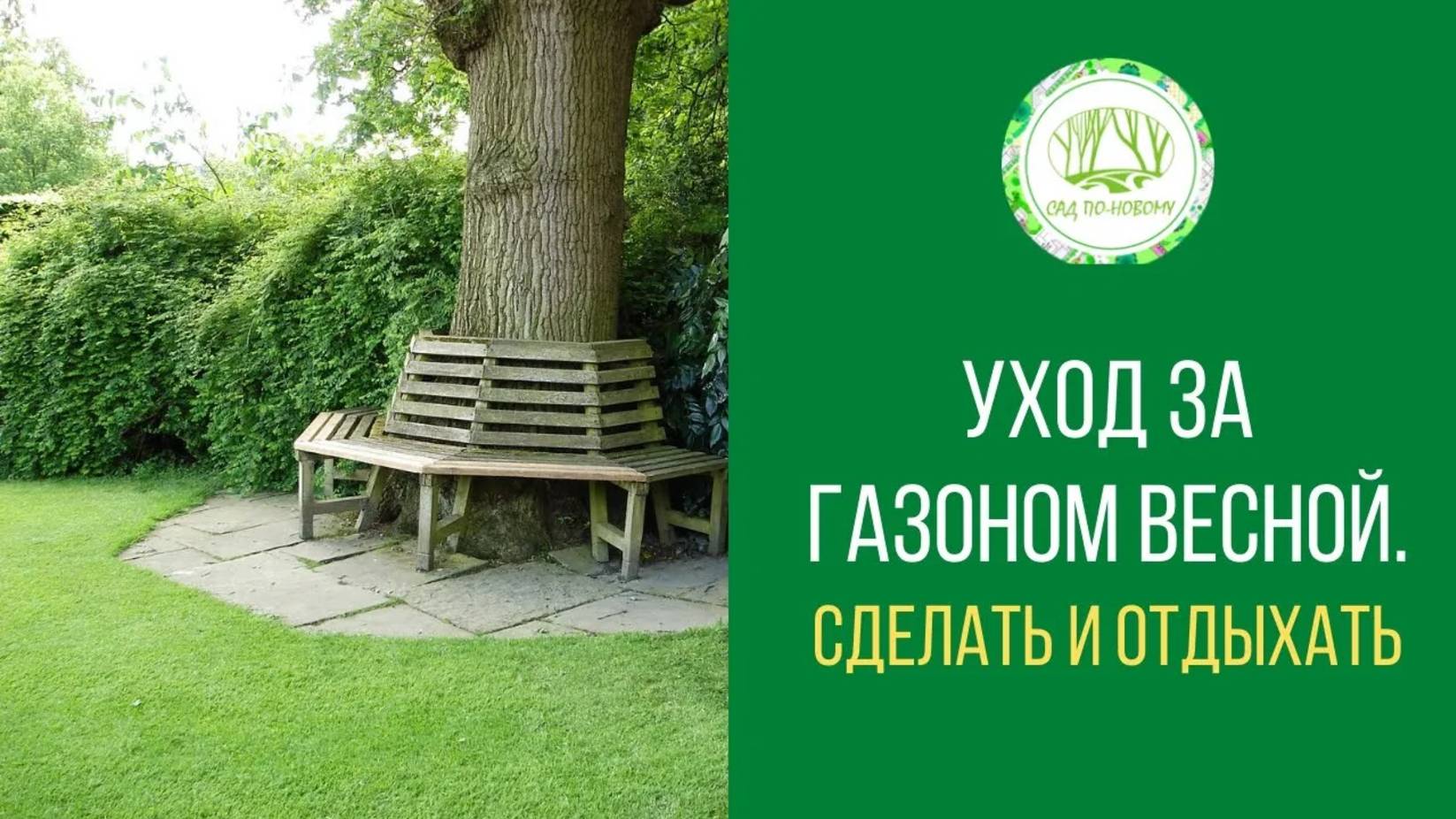 Уход за газоном весной