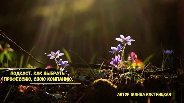 Подкаст. Как выбрать профессию, свою компанию.
